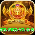 ck999 Slots Pro v2.0.5